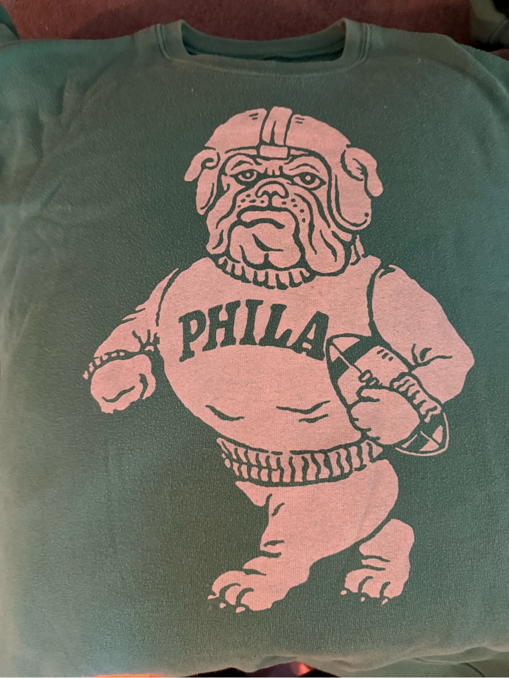 Duke and Winston Green & White Philadelphia Bulldog Graphic Sweatshirt
